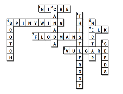 Completed crossword, answers also listed in text