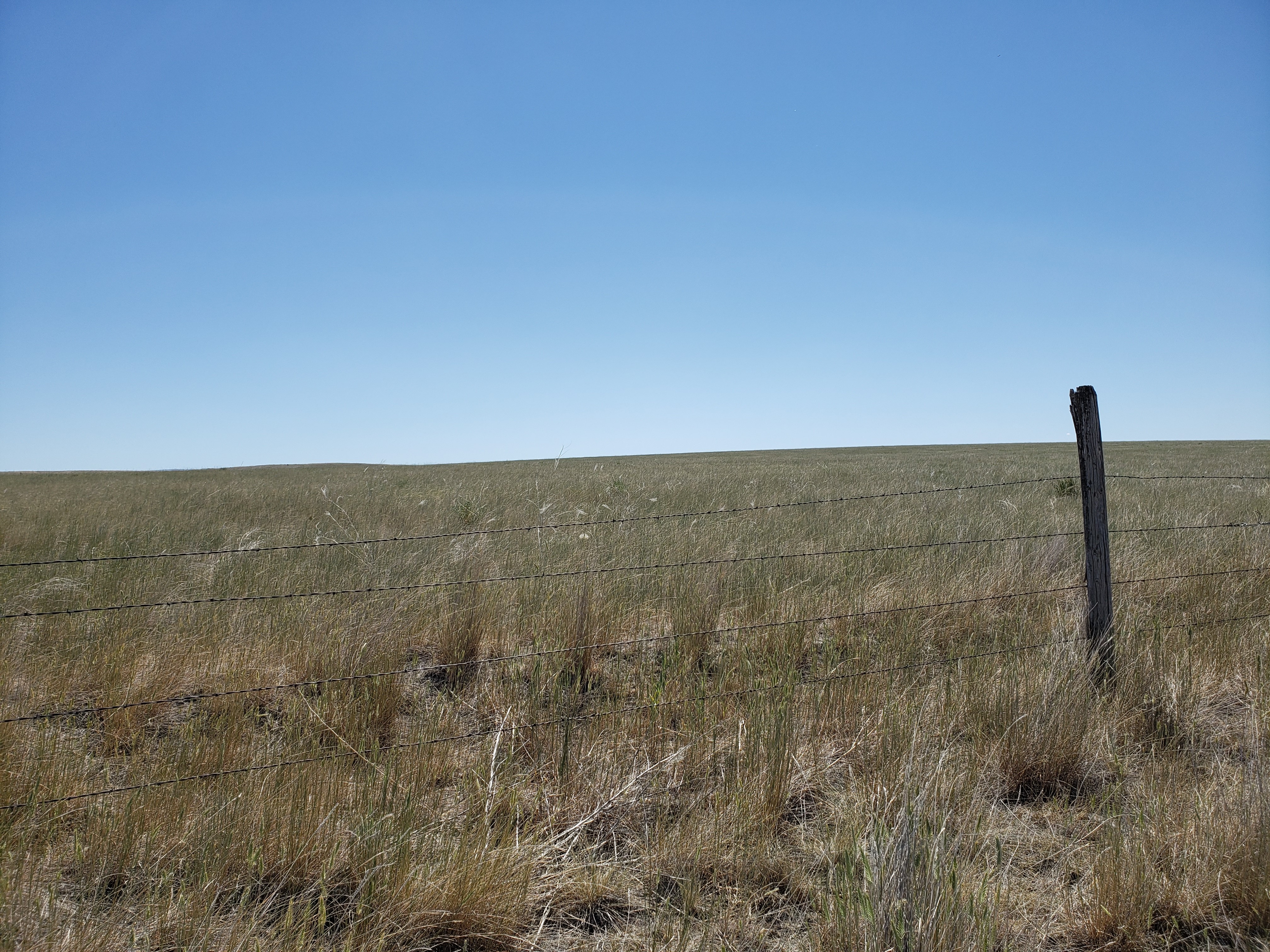 Field with brown grass behind barbed wire fence and clear blue sky in background.