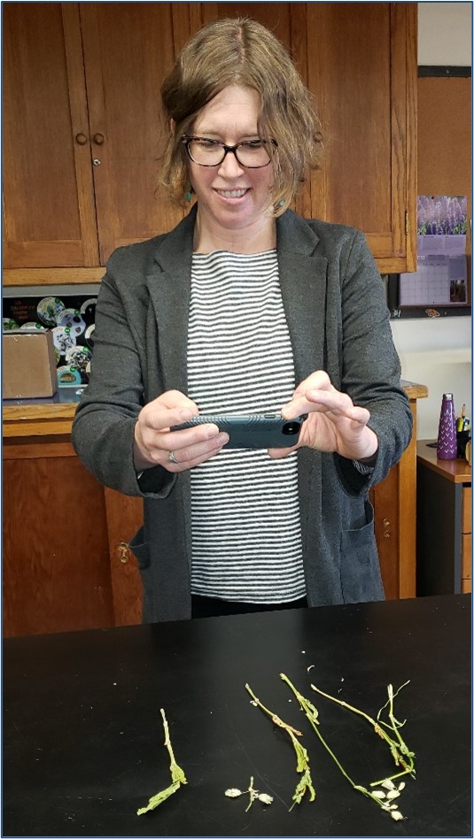 Woman taking picture of plants with her smartphone. Plants are laying on black table and there are wooden cupboards in background.