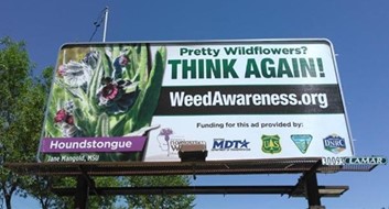 Highway billboard with blue sky and green trees in background. Sign has picture of a weed on it and tells readers not to confuse noxious weeds with wildflowers.