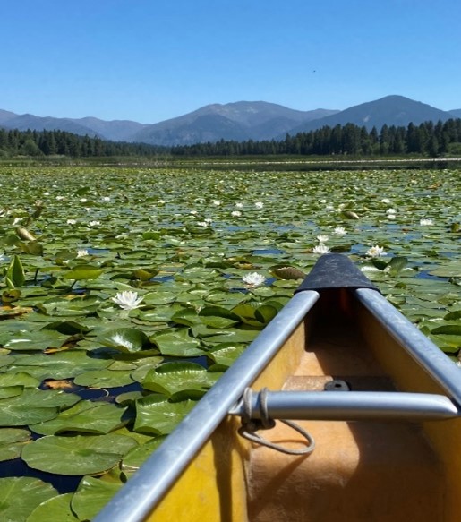 Tip of canoe on lake covered with green leaves and white flowers. Mountains and blue sky in background.