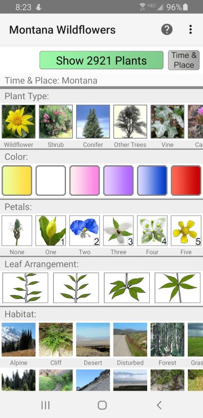 Screenshot of plant ID app interface.