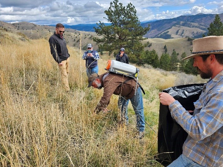 Five people standing on a hillside in the mountains. One person is bending forward to look at a plant, and another person is holding a garbage bag to place the plant in.