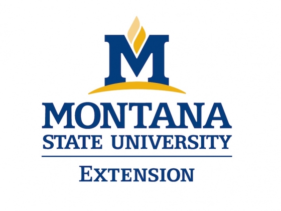 MSU Extension logo