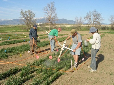 joint effects people people applying treatments to field plots in crop field