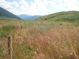 Landscape photo of markers in a field fading to a blue mountainscape