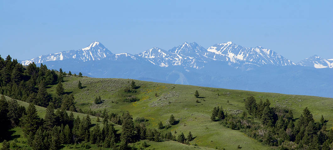 Mountains rising behind a sparsely-treed hill 