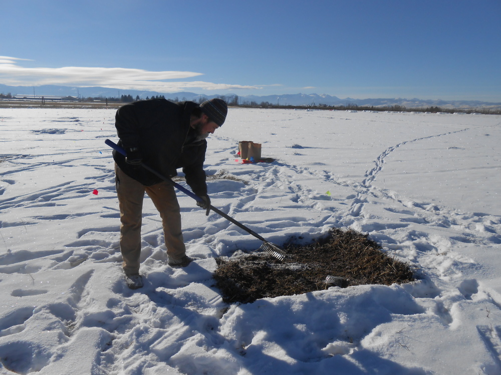 multiple herbicide resistance field work photo of a person working in a snowy field
