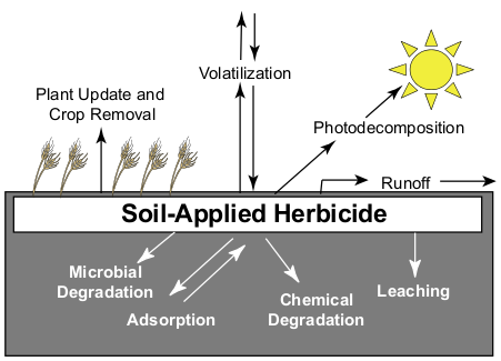Overview of factors that influence soil-applied herbicides