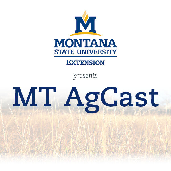MSU Extension text logo with MT AgCast written below it
