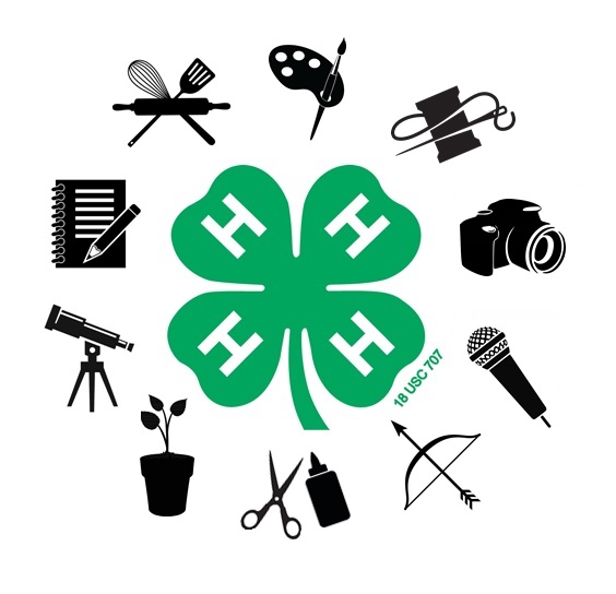 4-H Fair Consumer Sciences