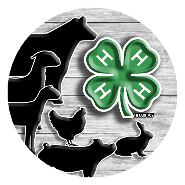 4-H Fair Livestock