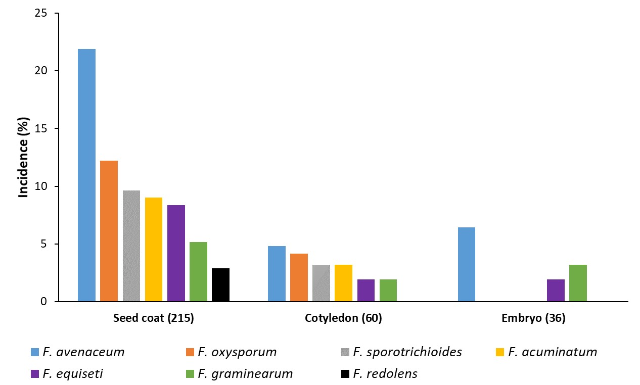 Bargraph of Fusarium species found in lentil seed coats, coyelydons, and embryo