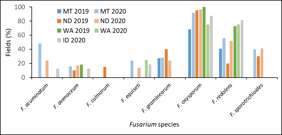 Bargraph of the eight species of Fusarium isolated in the four states