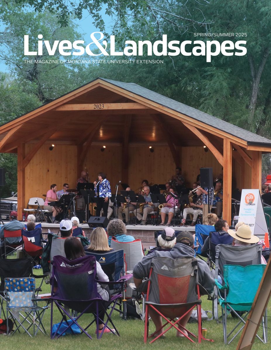 The magazine cover shows a crowd sitting in camp chairs facing a new wooden bandshell in a park. Inside the bandshell, a large band is set up and playing.