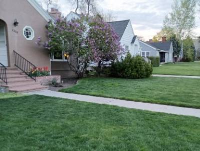 green lawns are broken up by sidewalks in front of a row of houses