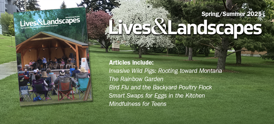 The summer magazine cover image of a band in a bandshell sits atop another image of a freshly cut campus lawn with trees blooming in the spring. Overtop of the image is the issue name, Spring/Summer 2025, and some of the article titles.