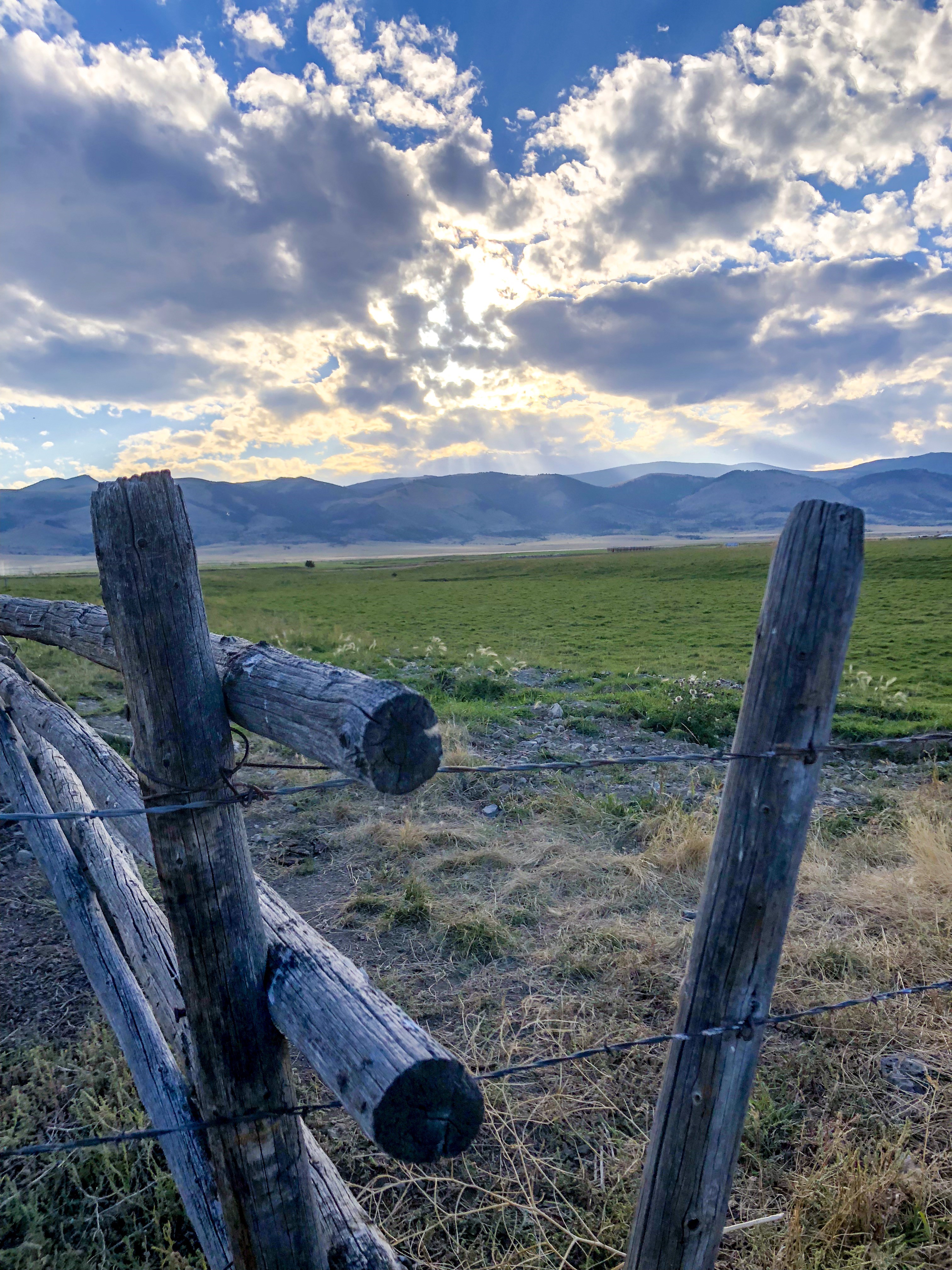 Fenceposts and a pasture in the Boulder valley at sunset