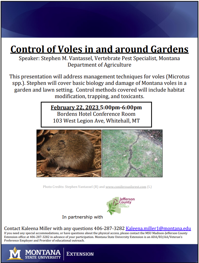 voles in garden workshop details