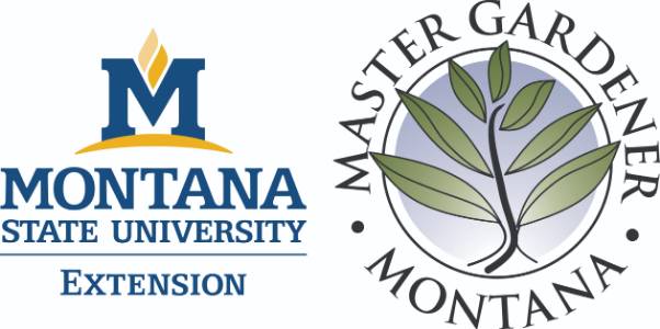 MSU Extension & MTMG logo