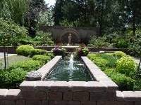 Garden with raised water feature