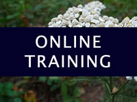 Online Training text with flower behind it