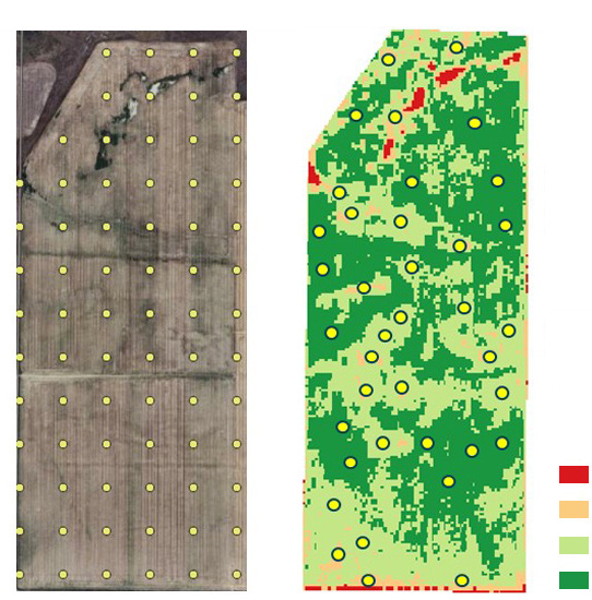 two different examples of grid sampling