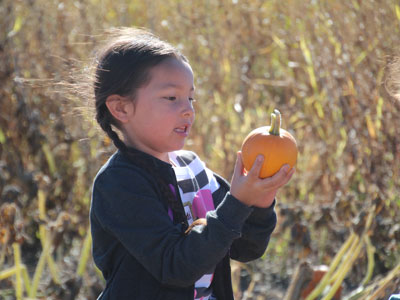 young native american girl holding pumpkin