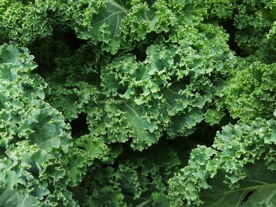 kale in a pile