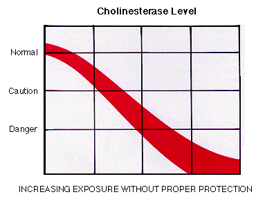 cholinesterase-graph