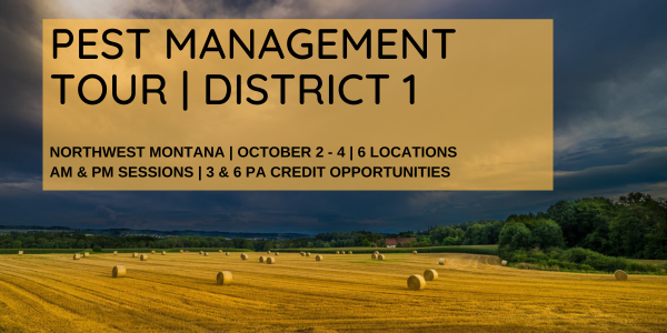 Last chance credit opportunity for District 1.