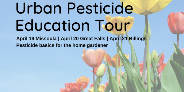 Pesticide basics for the home gardener