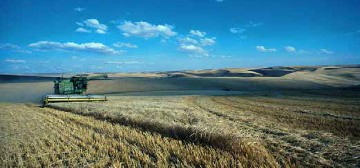 Figure 2: Photo of a tractor harvesting a barley field, rolling hills in the background