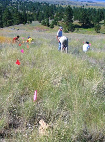 Figure 4: Photo of a group of people on a wild hillside.