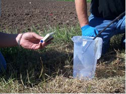 Figure 7: Photo of two people in a field, checking a sample.