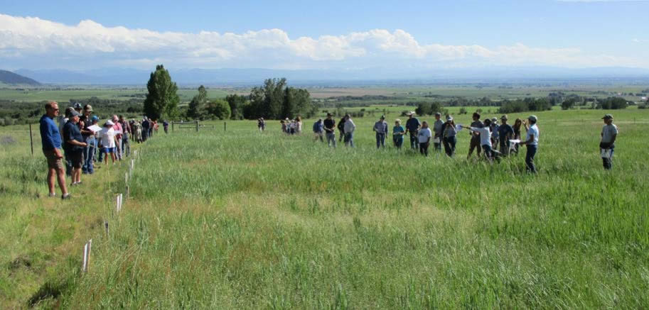 Figure 4: Photo of a large group of people standing in a field