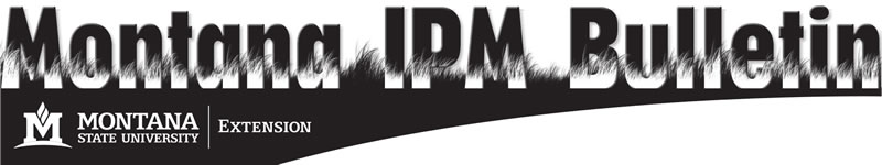 Montana IPM Bulletin banner image, large title letters with grass growing around them