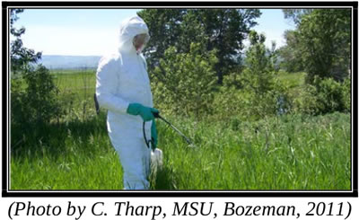 Person in PPE suit, caption: Photo by C. Tharp, MSU, Bozeman, 2011
