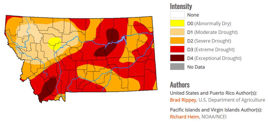 Figure 1. Montana drought conditions as of July 29, 2021.