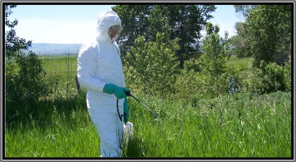 Applicator spraying pesticides.