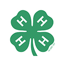 4-H Clover