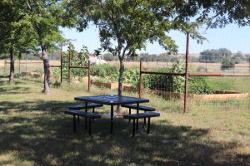 Picnic Table at full garden