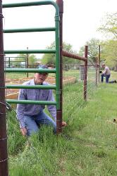 Building Fence