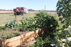 Garden Plot