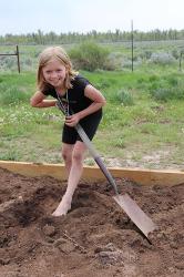 Little girl digging dirt in plot