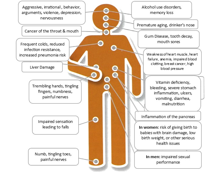 Effects of alcohol on body