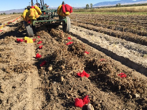 Harvesting Nuclears by hand