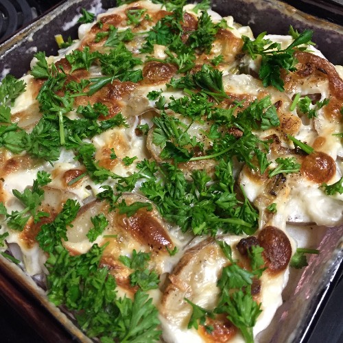 Scallion and Potato Gratin