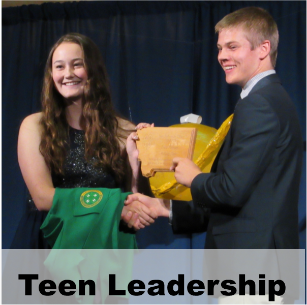 4-H Teen Leadership events
