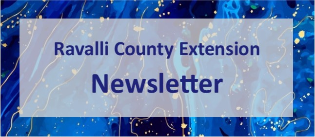 Ravalli County Newsletter